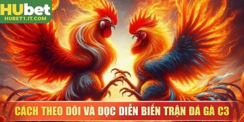 Cách theo dõi và đọc diễn biến trận đá gà C3
