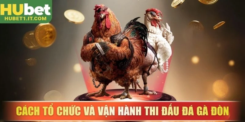 Cách tổ chức và vận hành thi đấu đá gà đòn