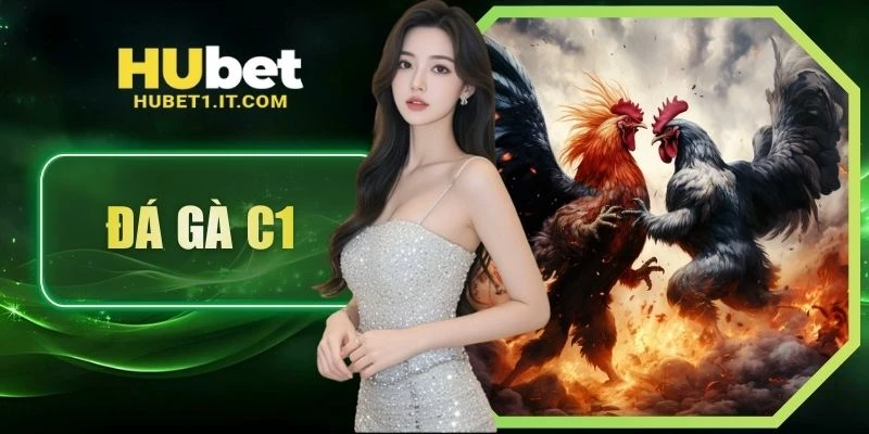 đá gà c1