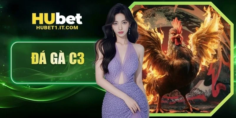 đá gà c3