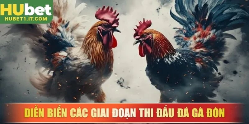 Diễn biến các giai đoạn thi đấu đá gà đòn