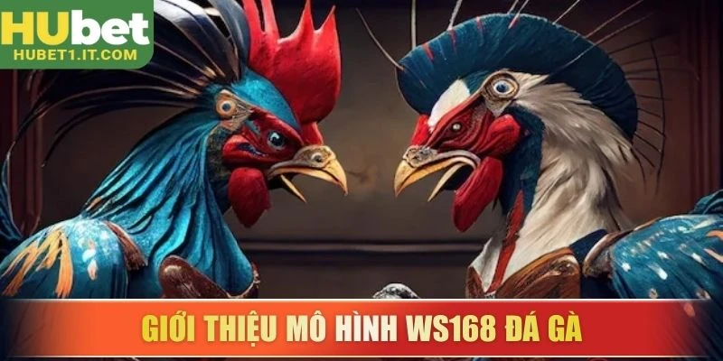 Giới thiệu mô hình WS168 đá gà