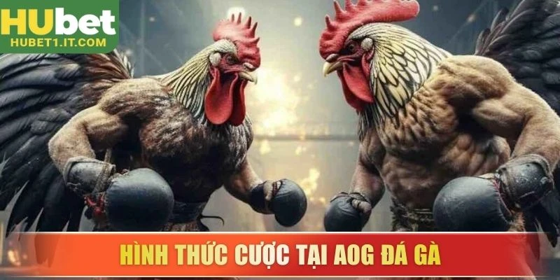 Hình thức cược tại AOG đá gà