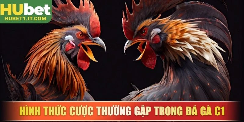 Hình thức cược thường gặp trong đá gà C1