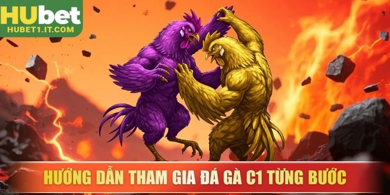 Hướng dẫn tham gia đá gà C1 từng bước