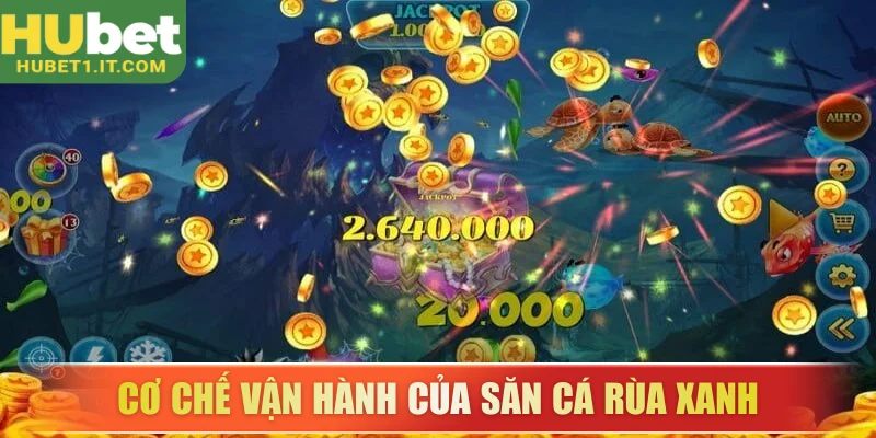 Khám phá cơ chế vận hành và sự minh bạch của săn cá rùa xanh