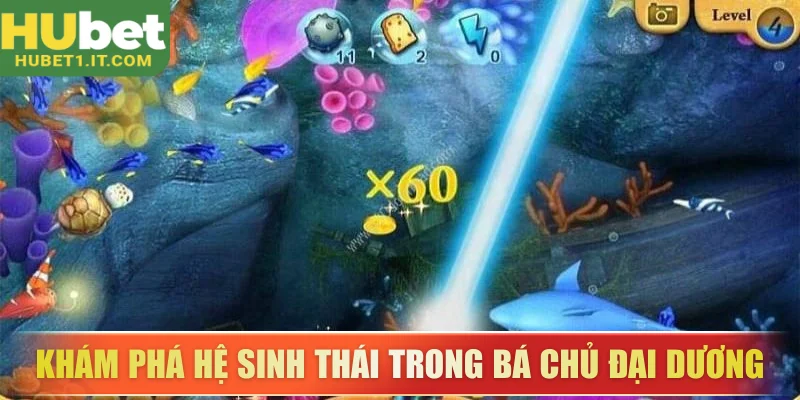 Khám phá hệ sinh thái trong bá chủ đại dương