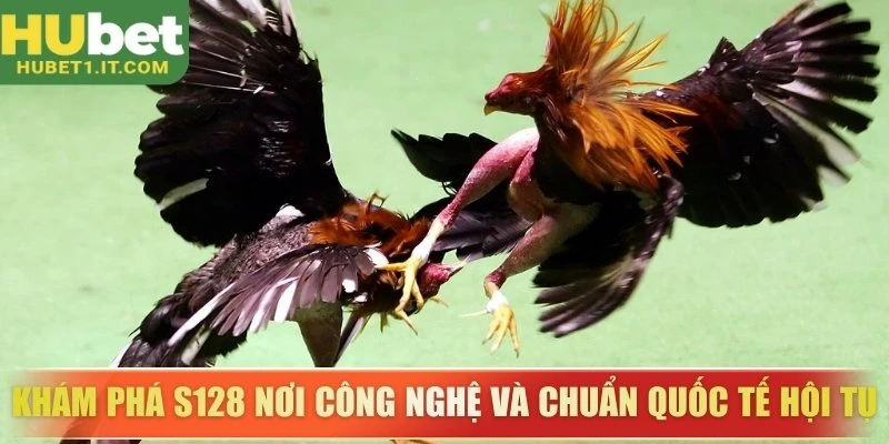 Khám phá S128 nơi công nghệ và chuẩn quốc tế hội tụ