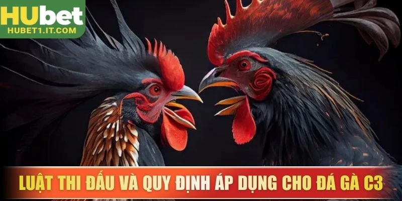 Luật thi đấu và quy định áp dụng cho đá gà C3