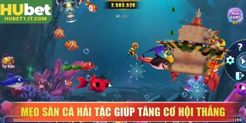 Mẹo săn cá hải tặc giúp tăng cơ hội thắng