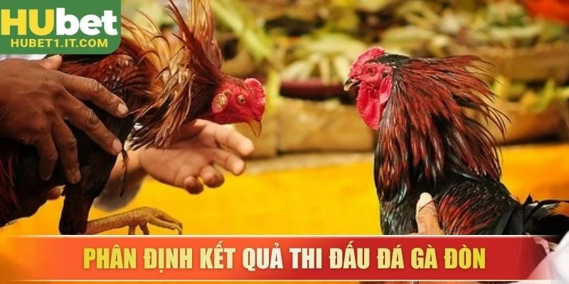 Phân định kết quả thi đấu đá gà đòn