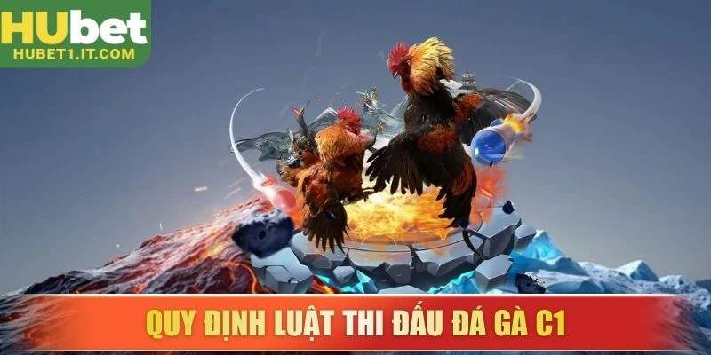 Quy định luật thi đấu đá gà C1