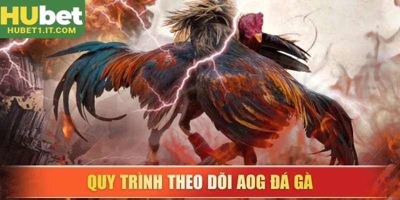 Quy trình theo dõi AOG đá gà
