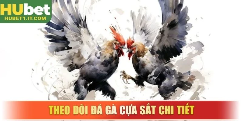 Theo dõi đá gà cựa sắt chi tiết