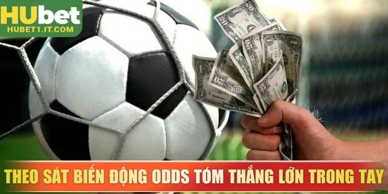 Theo sát biến động odds tóm thắng lớn trong tay