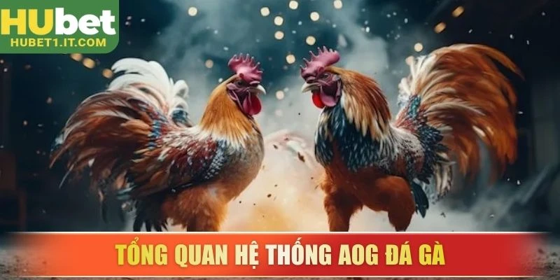 Tổng quan hệ thống AOG đá gà