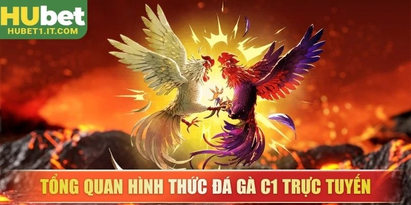 Tổng quan hình thức đá gà C1 trực tuyến
