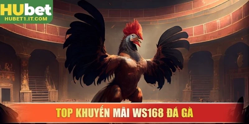 Top  khuyến mãi  WS168 đá gà