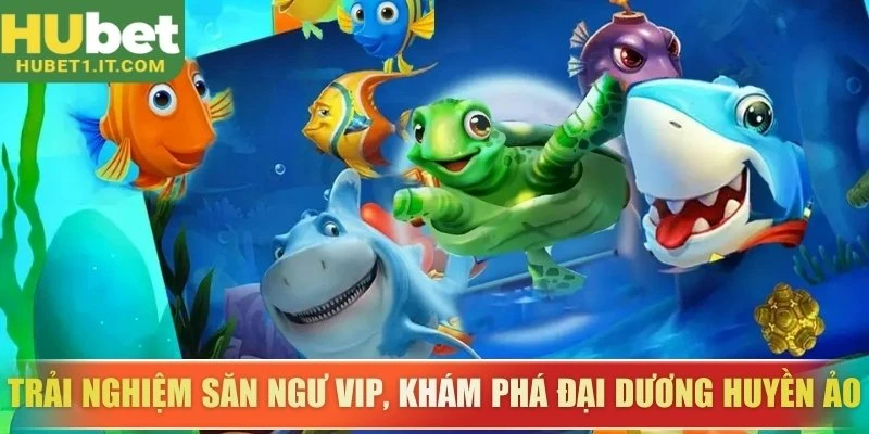 Trải nghiệm săn ngư VIP, khám phá đại dương huyền ảo