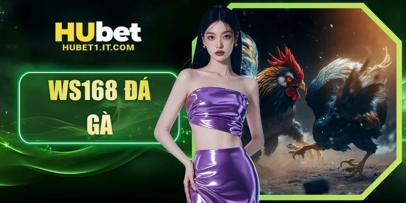 WS168 Đá Gà Trực Tiếp - Đọc Trận Nhanh, Ưu Đãi Theo Phiên