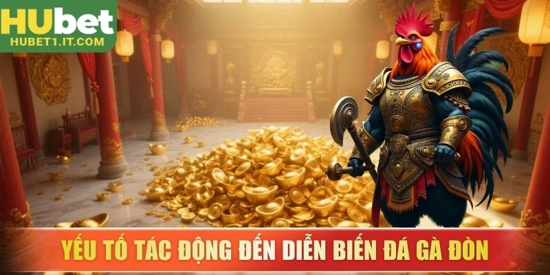 Yếu tố tác động đến diễn biến đá gà đòn